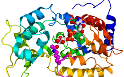 PHYSIQUE – BIOPHYSIQUE