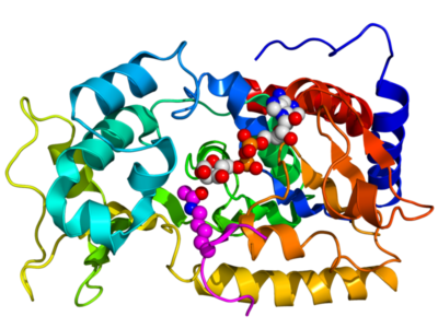 PHYSIQUE – BIOPHYSIQUE