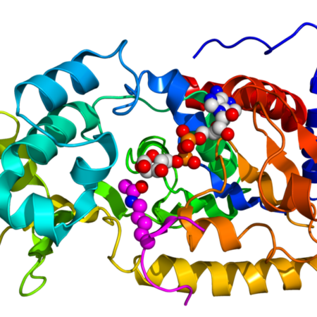 PHYSIQUE – BIOPHYSIQUE