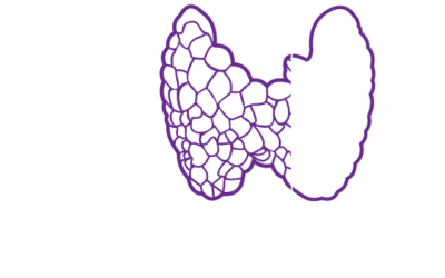 Glandes endocrines et Revêtement cutanée