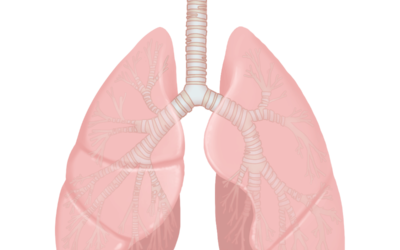 MALADIES DE L’APAREIL RESPIRATOIRE